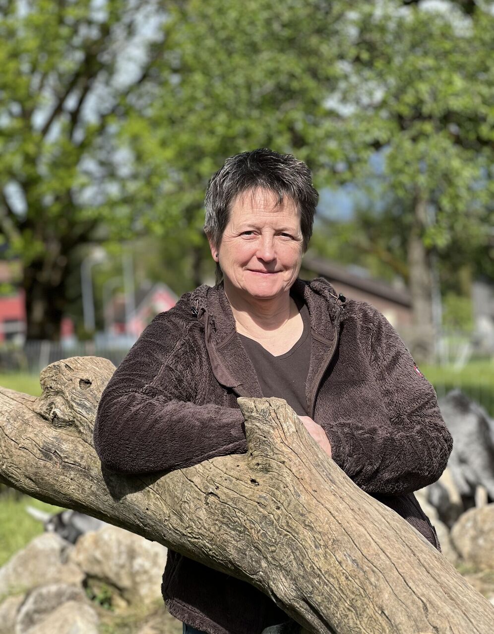Petra Oehninger-Arens